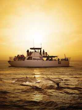 a small boat in a body of water