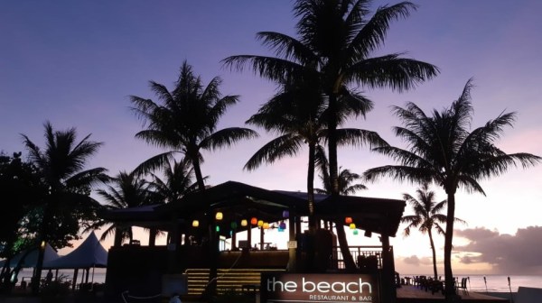 a group of palm trees next to a tree