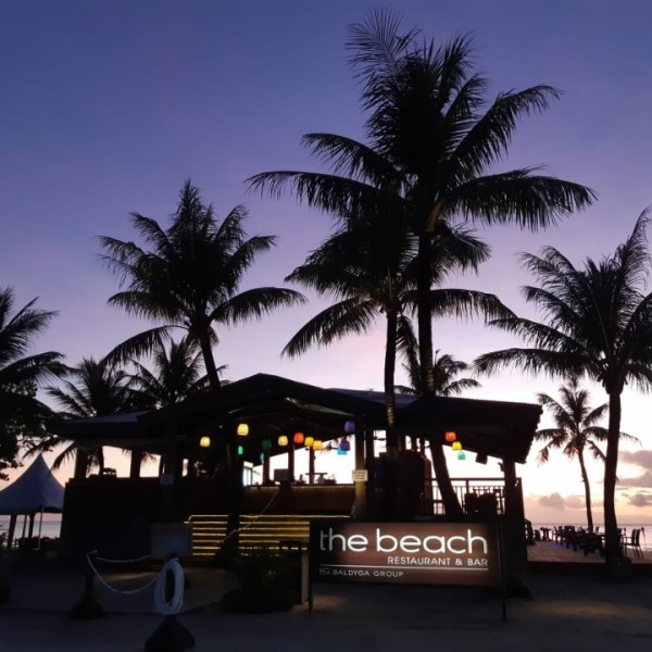 a group of palm trees next to a tree
