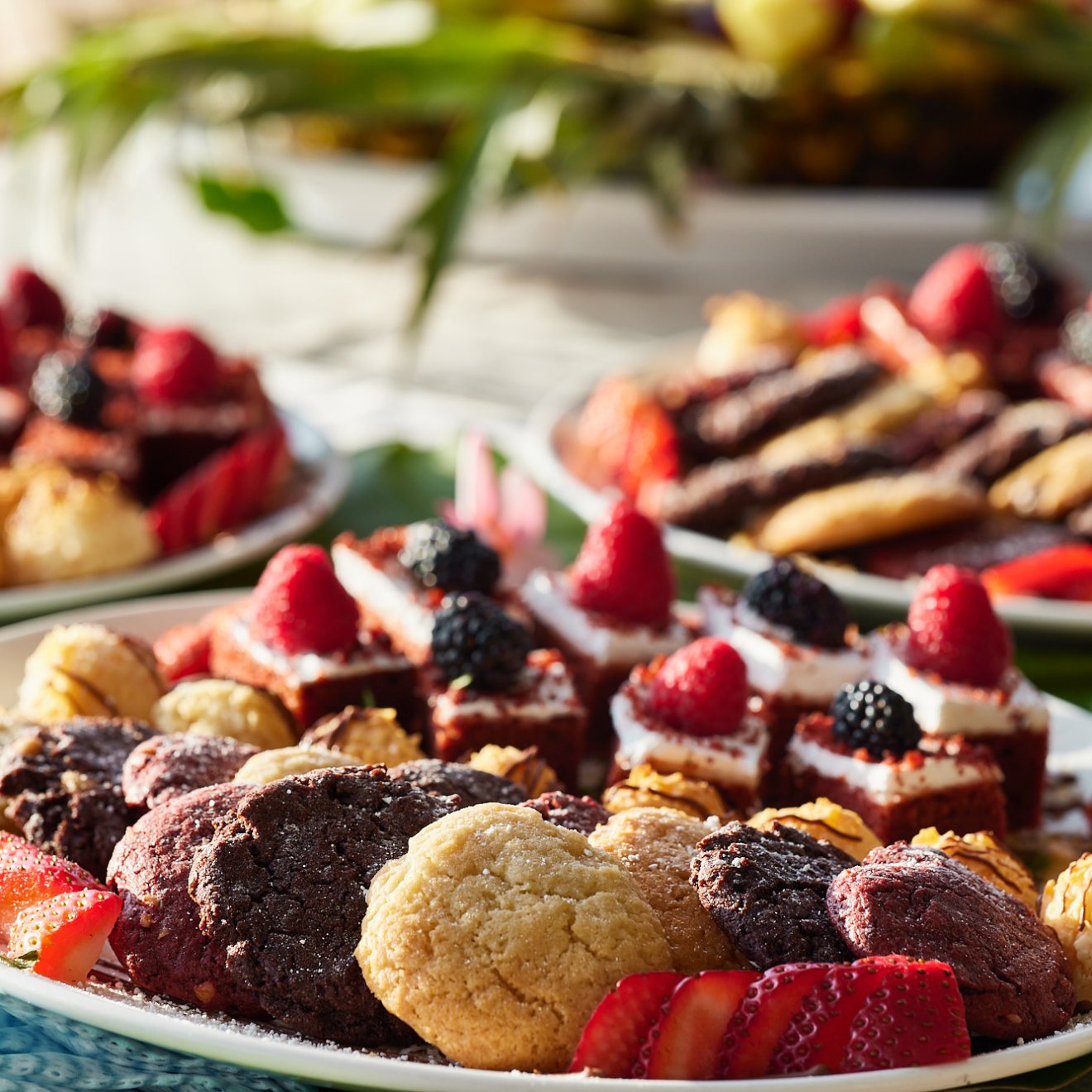a close up of a plate of food