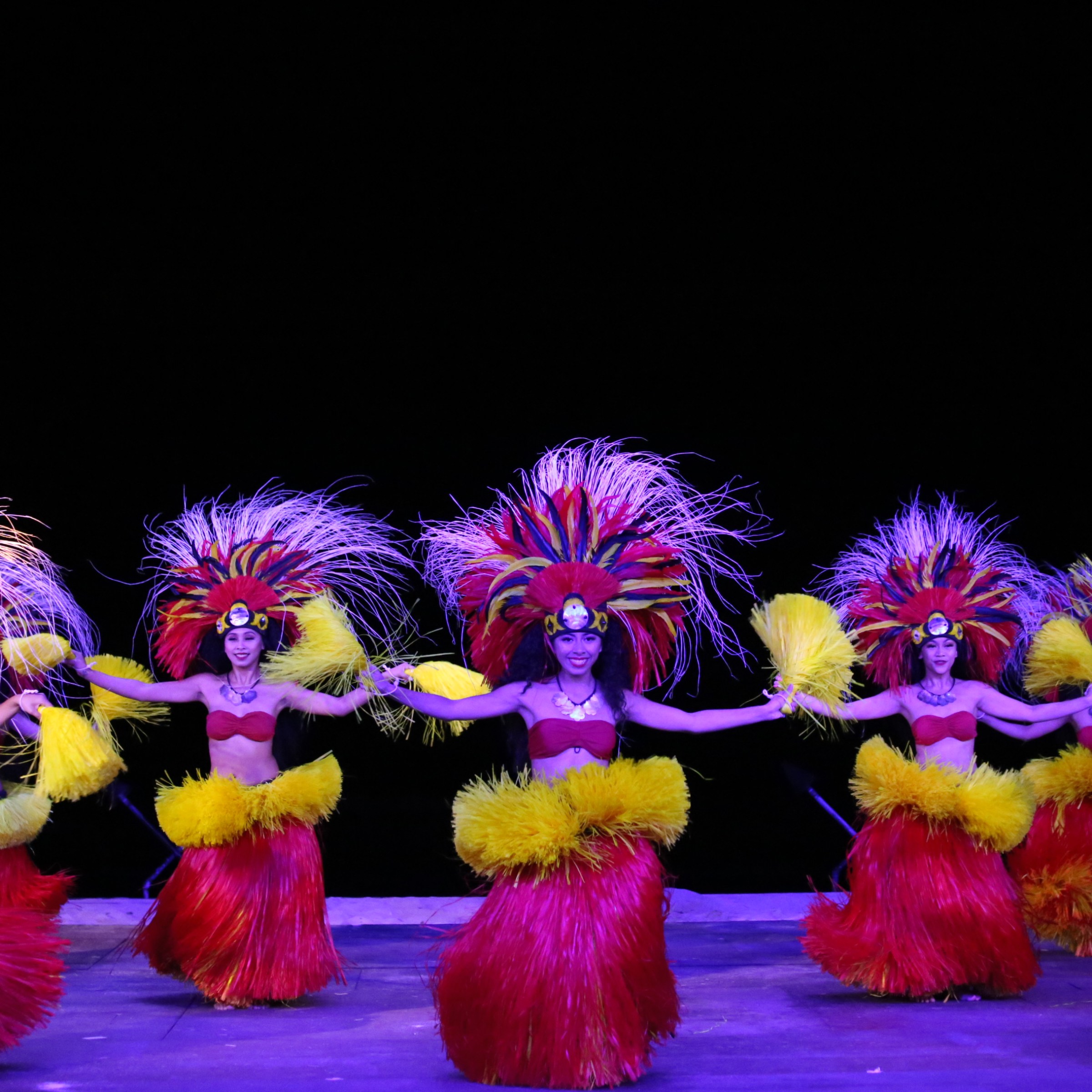 a group of colorful flowers