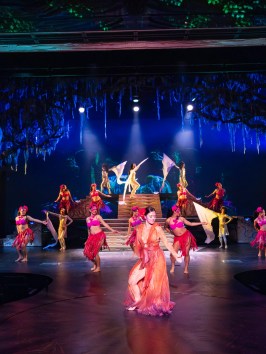 a group of people playing instruments and performing on a stage