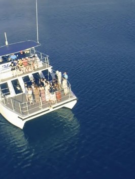 a close up of a boat next to a body of water