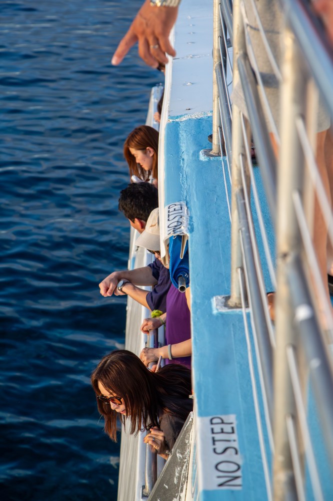 People leaning over boat railing, watching the ocean.