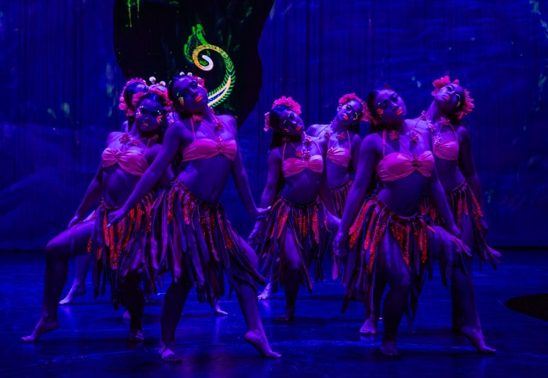 Group of dancers in colorful costumes performing on a dimly lit stage.