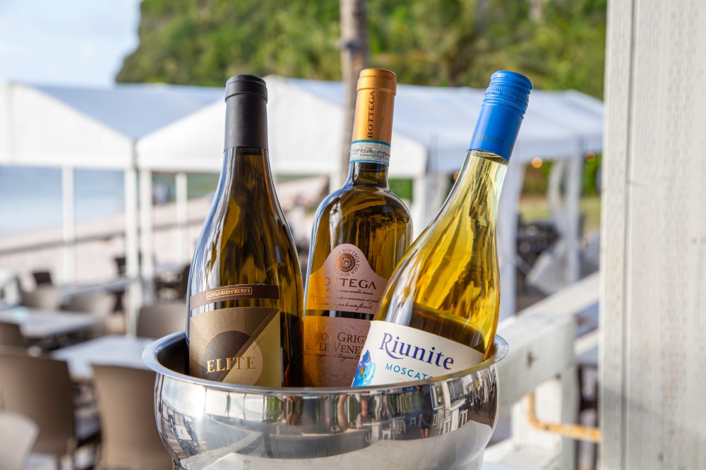 Three wine bottles in an ice bucket on a patio with white tents in the background.