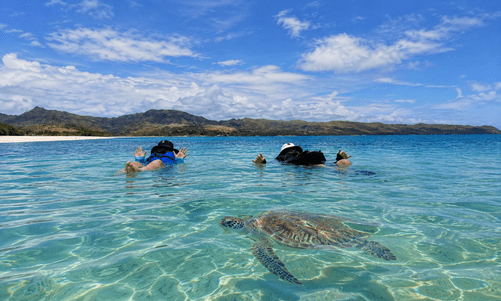 Two people snorkeling near a sea turtle in clear blue water with mountains and clouds in the background.