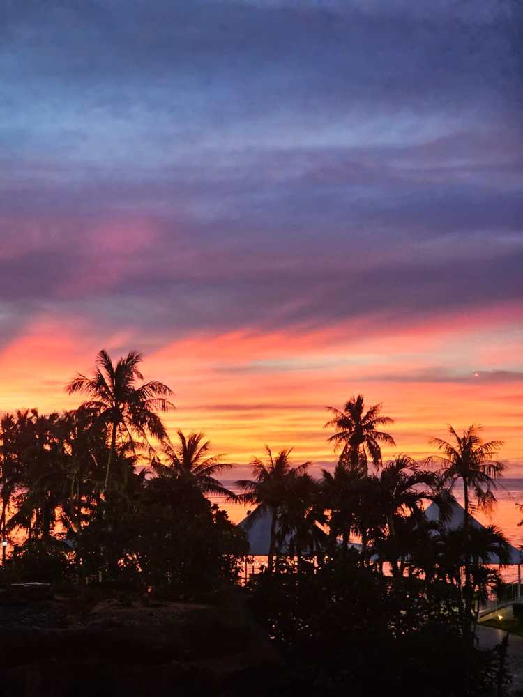 Tropical sunset with silhouetted palm trees and vibrant sky.